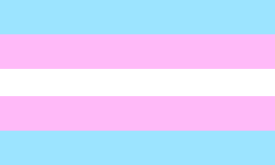 [379621] trans flag