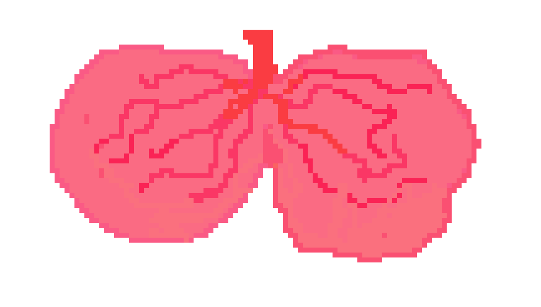 [401978] pixel lungs