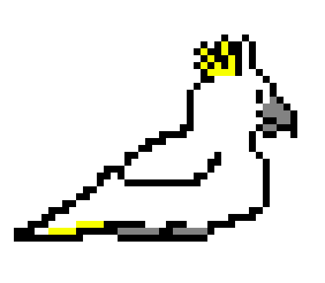 [478864] cockatoo jump