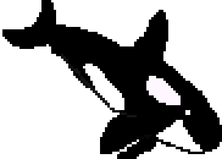 [9664c4] orca