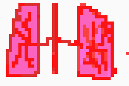 [2b4978] Lungs