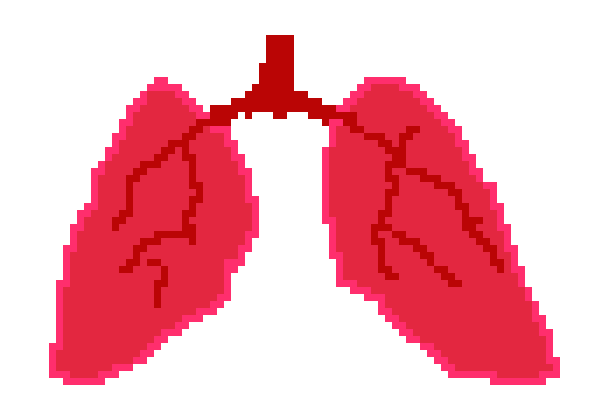 [401978] Pixel lungs