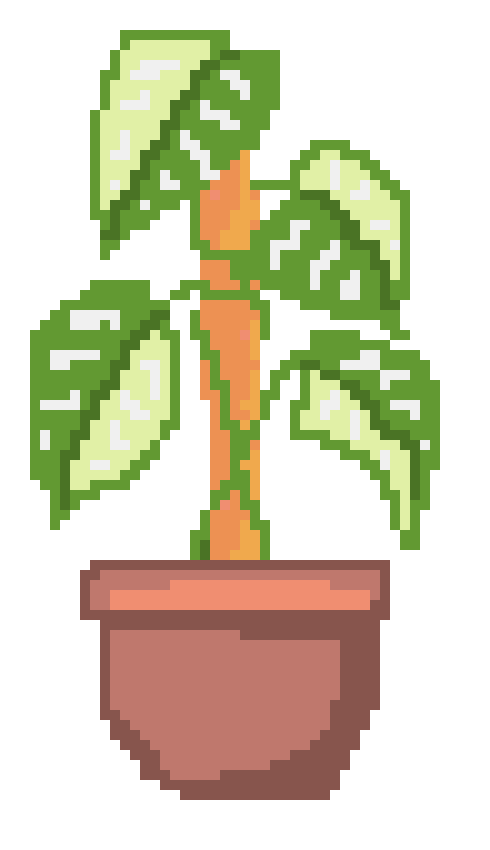 [a2c6b8] Variegated Monstera Adansonii