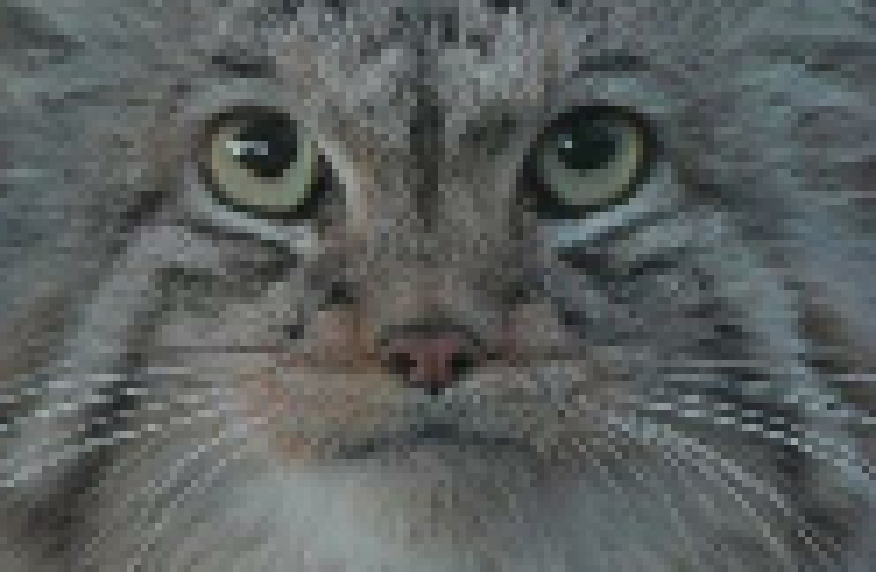 [ccea80] cat