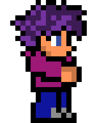 [9664c4] Terraria Character