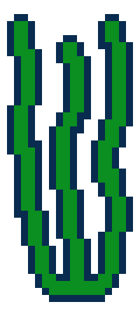 [524e21] kelp!