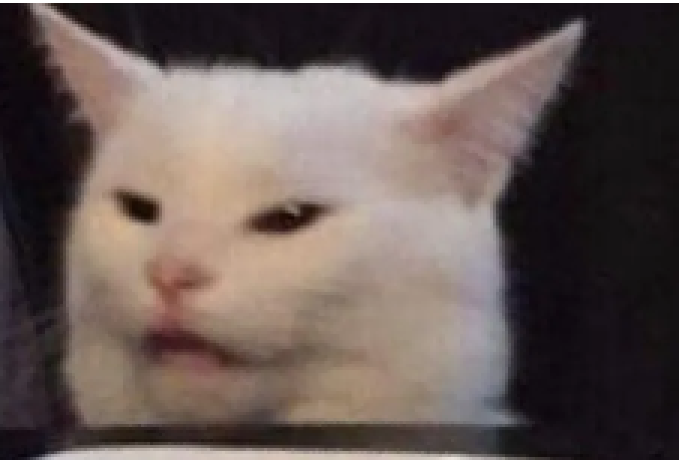 [30aad9] cat meme