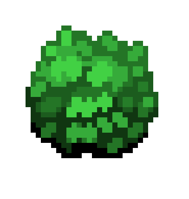 Bush