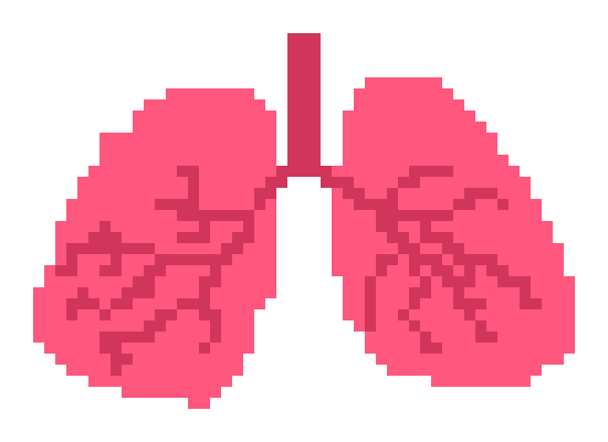 [2b4978] Lungs~Elise