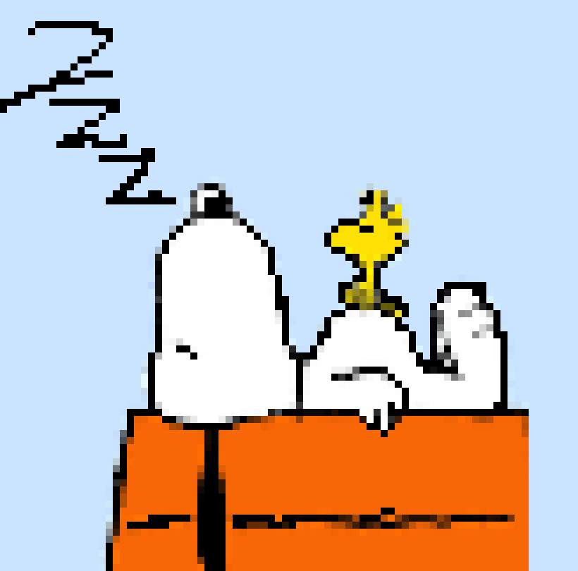 [aa8882] snoop