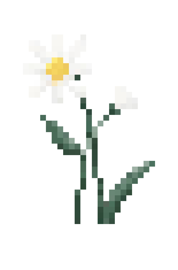 [93bd05] white flower