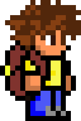 [970604] Terraria Character
