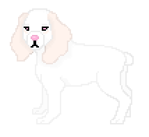 [9664c4] Vedette Full Pixel