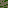 [9664c4] wall_sprite_moss