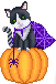 [dfdafc] halloween_2023_91