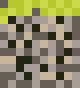 [9664c4] dirt