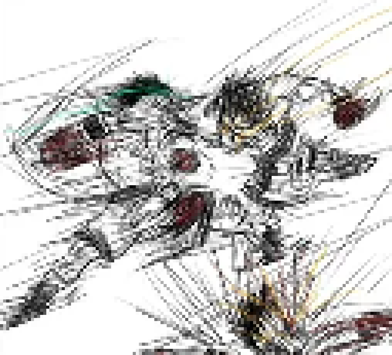[1b9e65] I'm going back to boxing drawing- i was WAAYY better at anatomy then holyyy