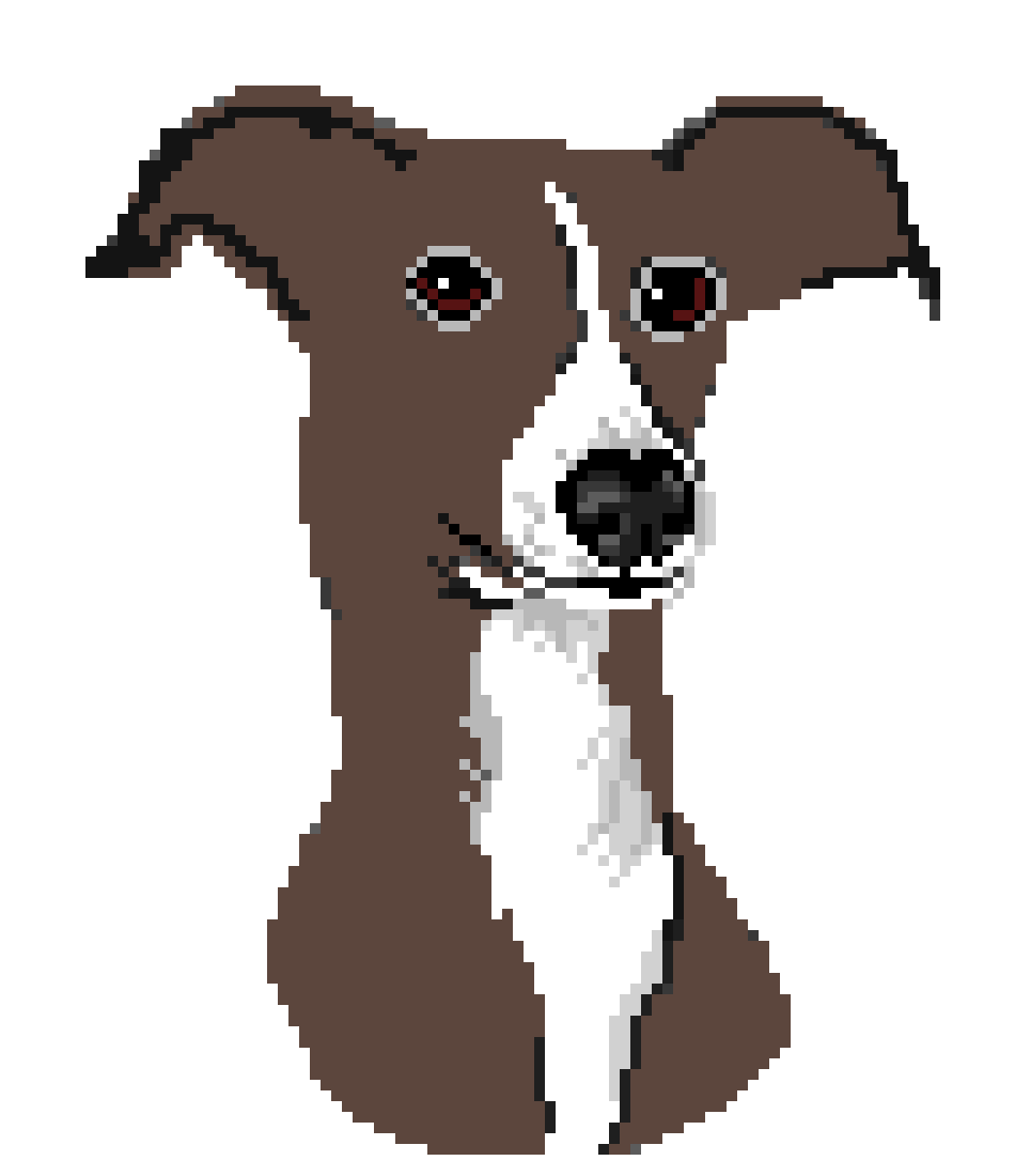 [bb0905] Greyhound