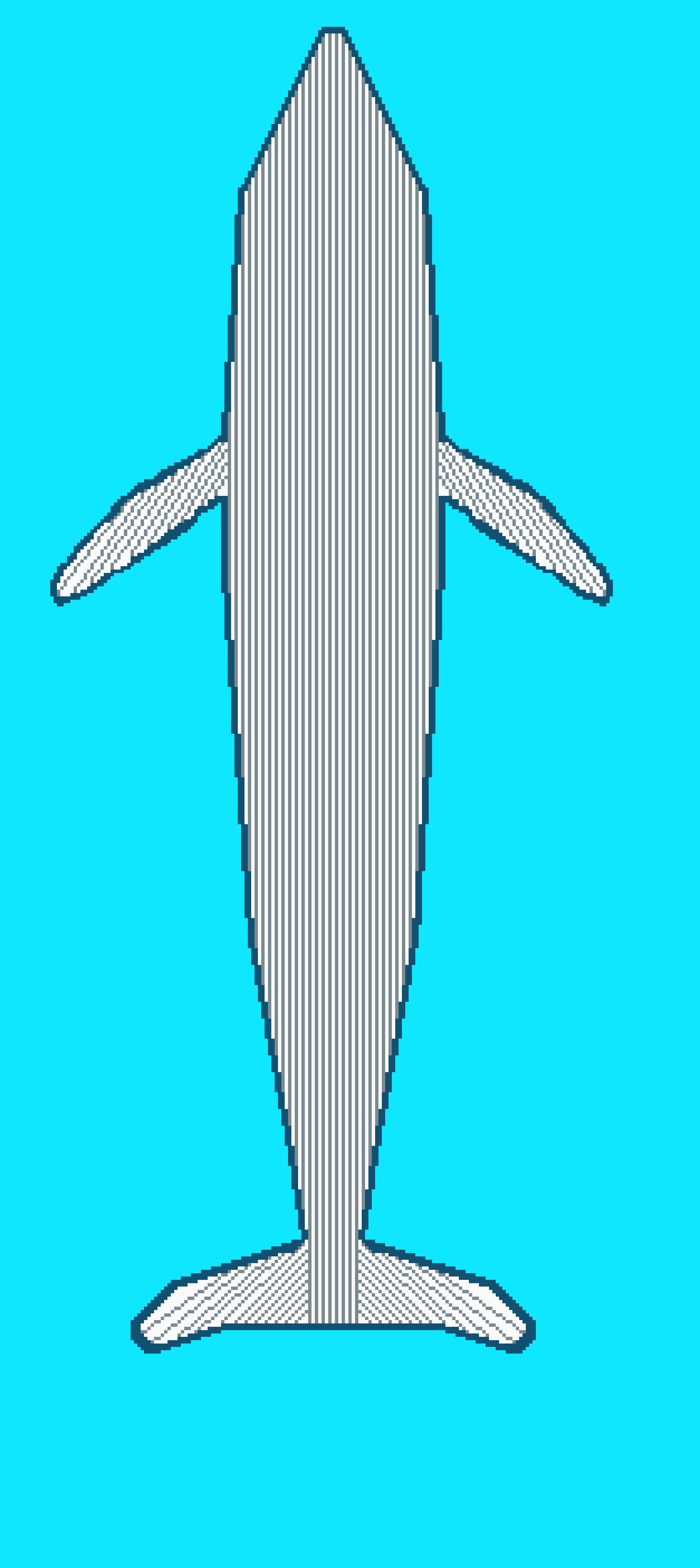 whale skateboard