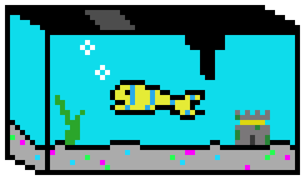 [22bd11] Royal Angelfish