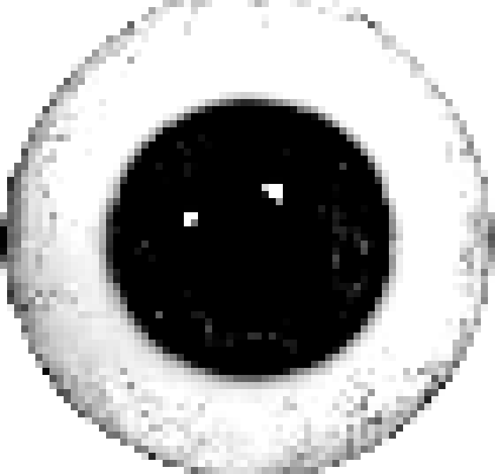 [90b8b4] prunsel