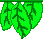 [cf0098] leaves