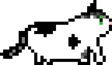 [9664c4] Savvy_1_2x
