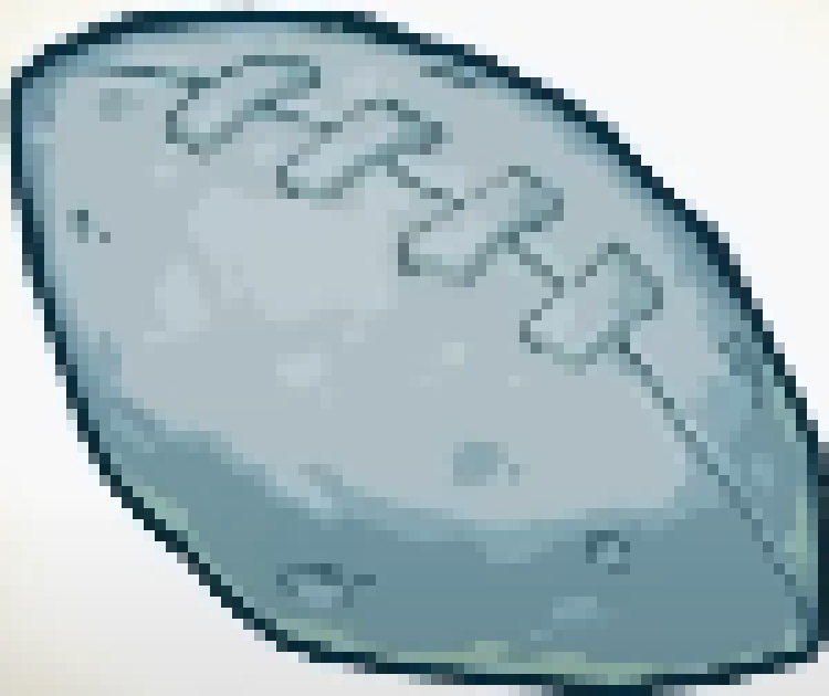 [e919dc] Chiseled Football