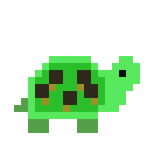 [9664c4] turtle