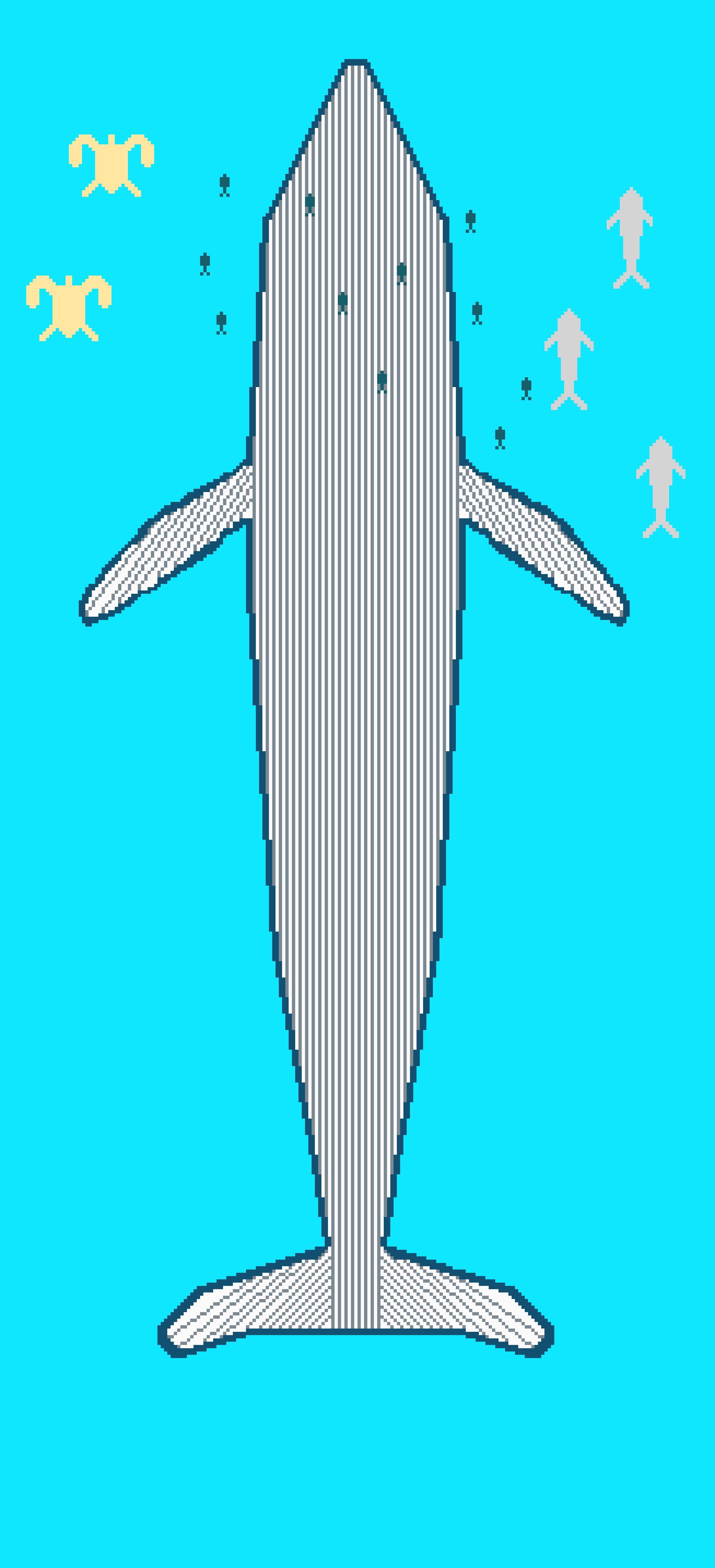 whale skateboard