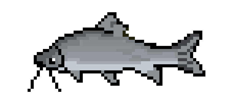 [650301] Catfish