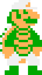 [9a88ff] Shell Luigi