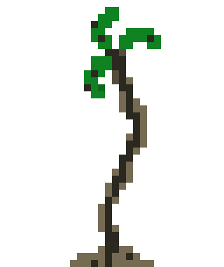 [99c07c] Big Withered Palmtree 1