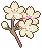 [f8d111] hoa