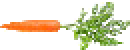 [6c8297] carrot