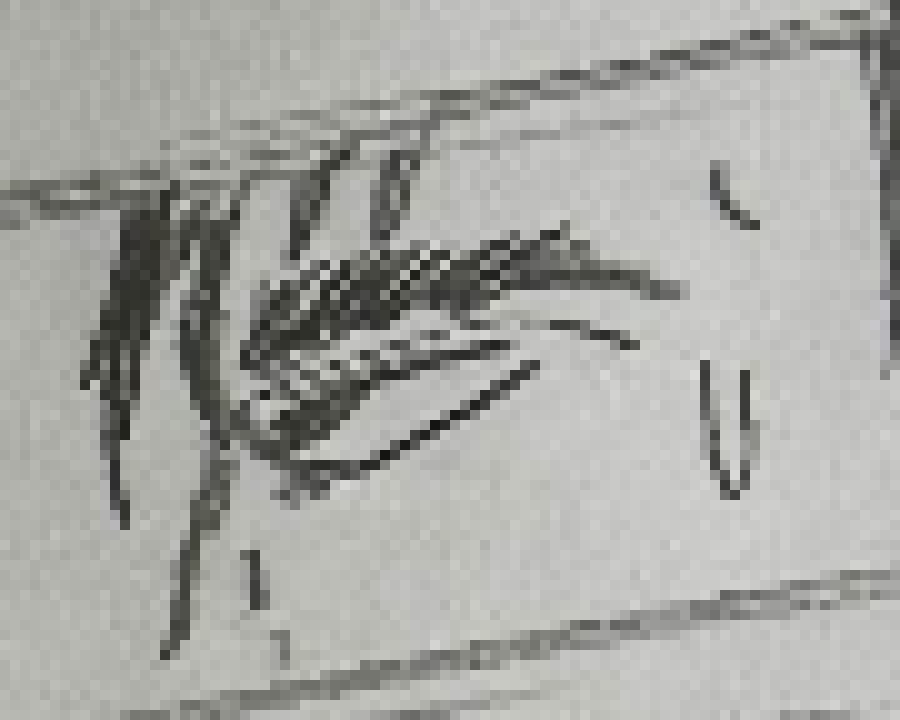 [bce8e5] what are you on about