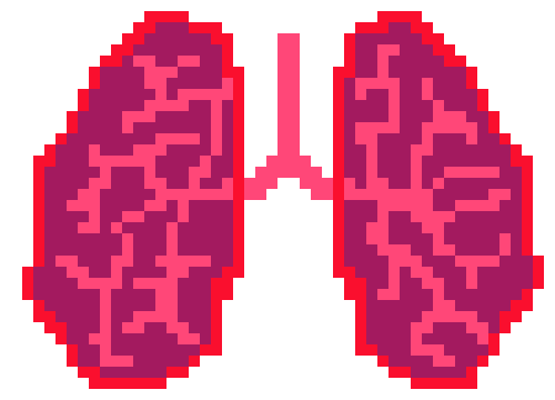 [4dcdda] The Lungs