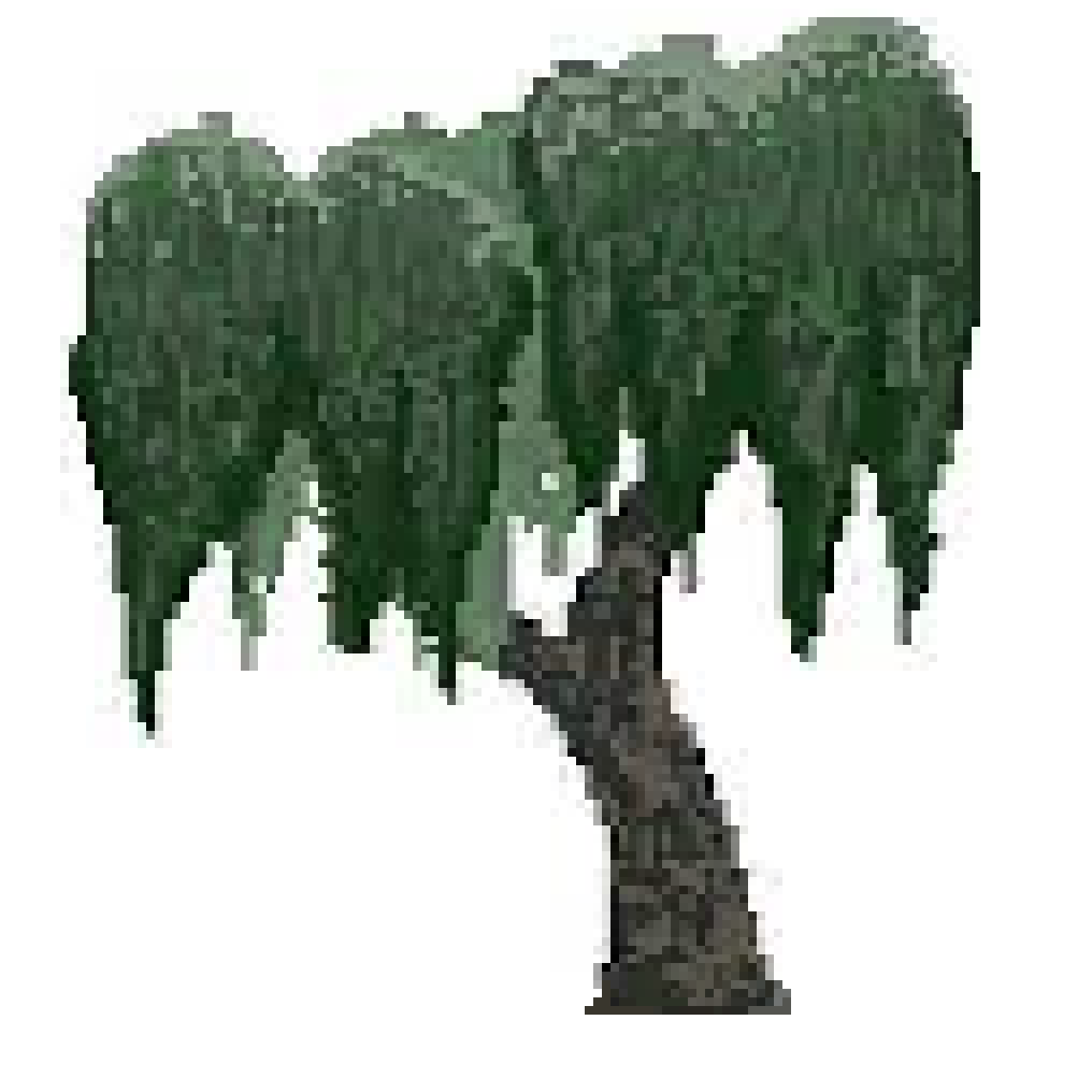 [1021d6] large swamp tree