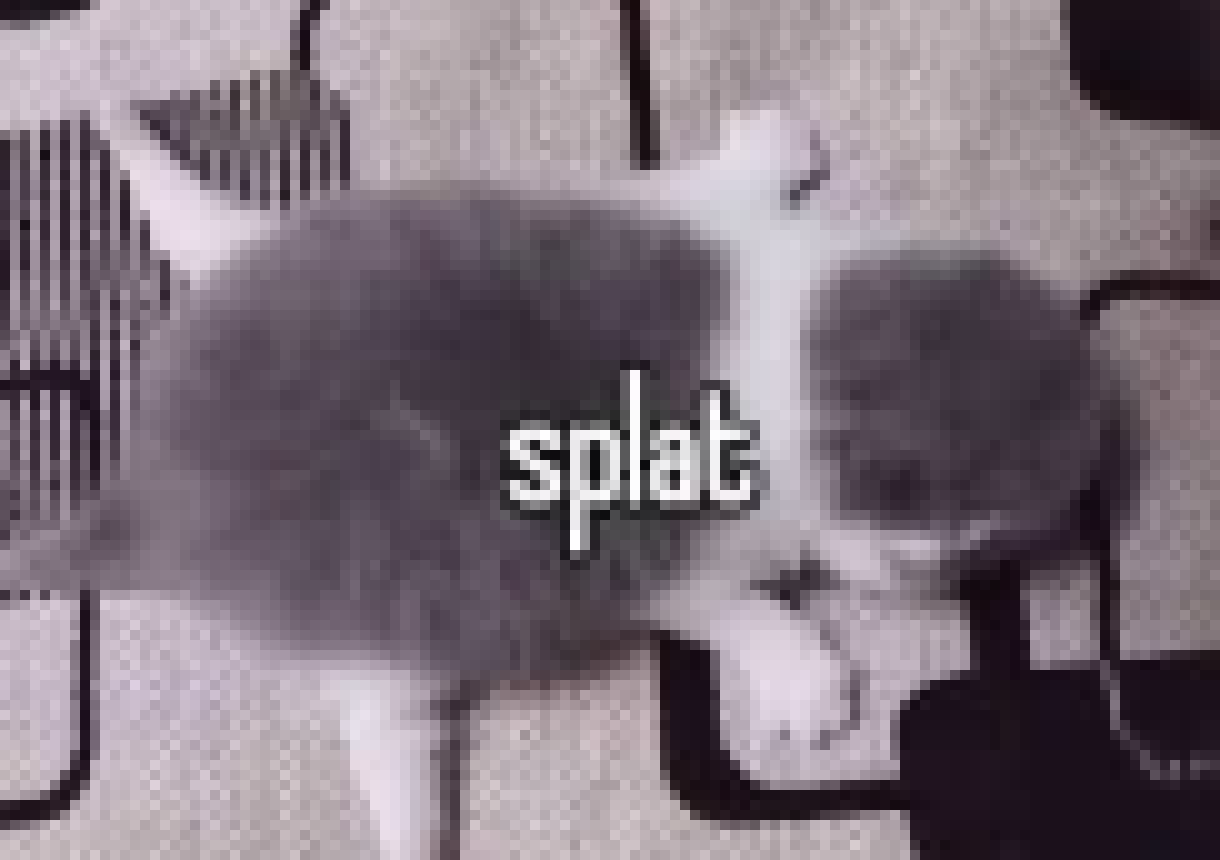 [7dc876] >takes one step >splat