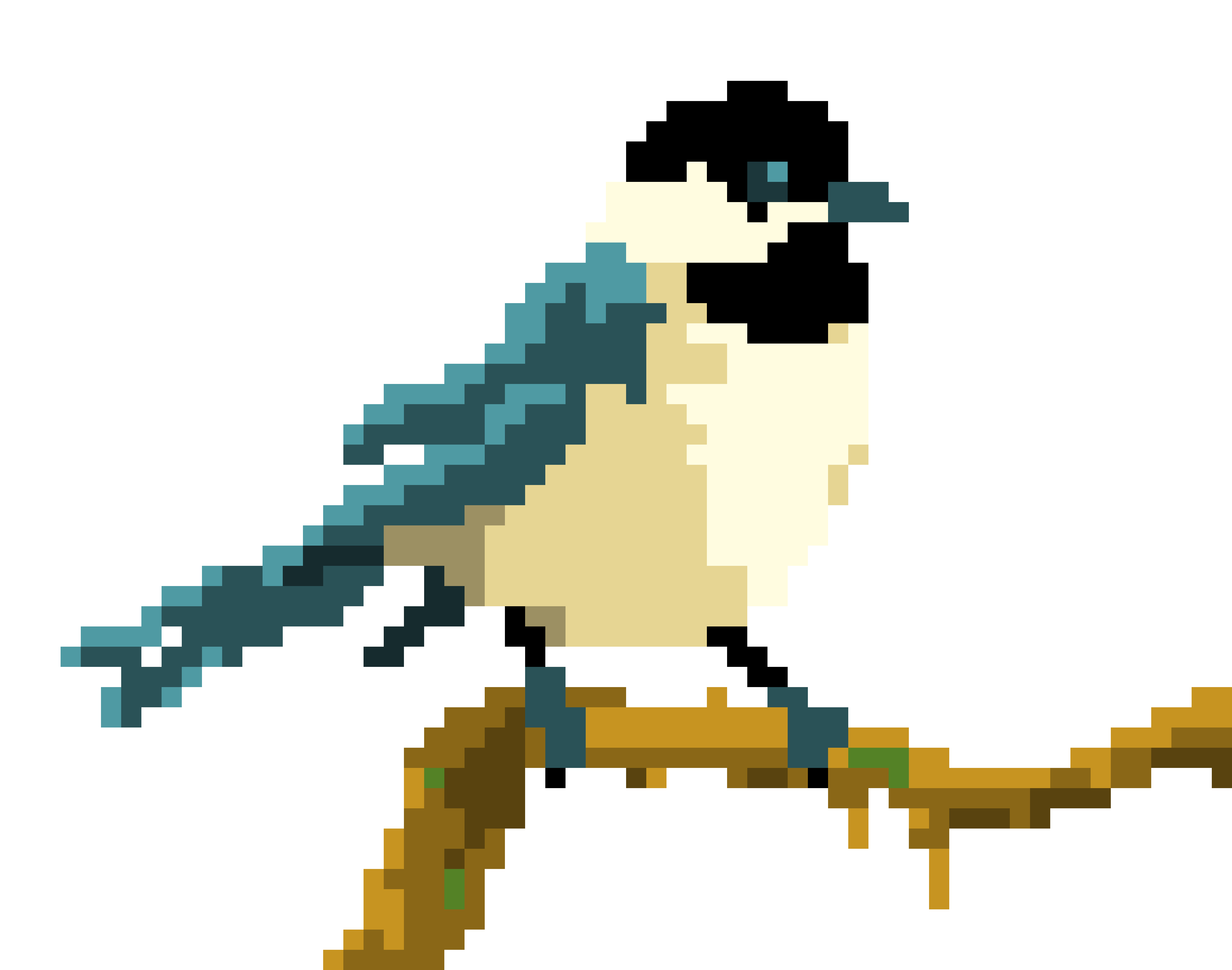 [9664c4] Black-capped Chickadee