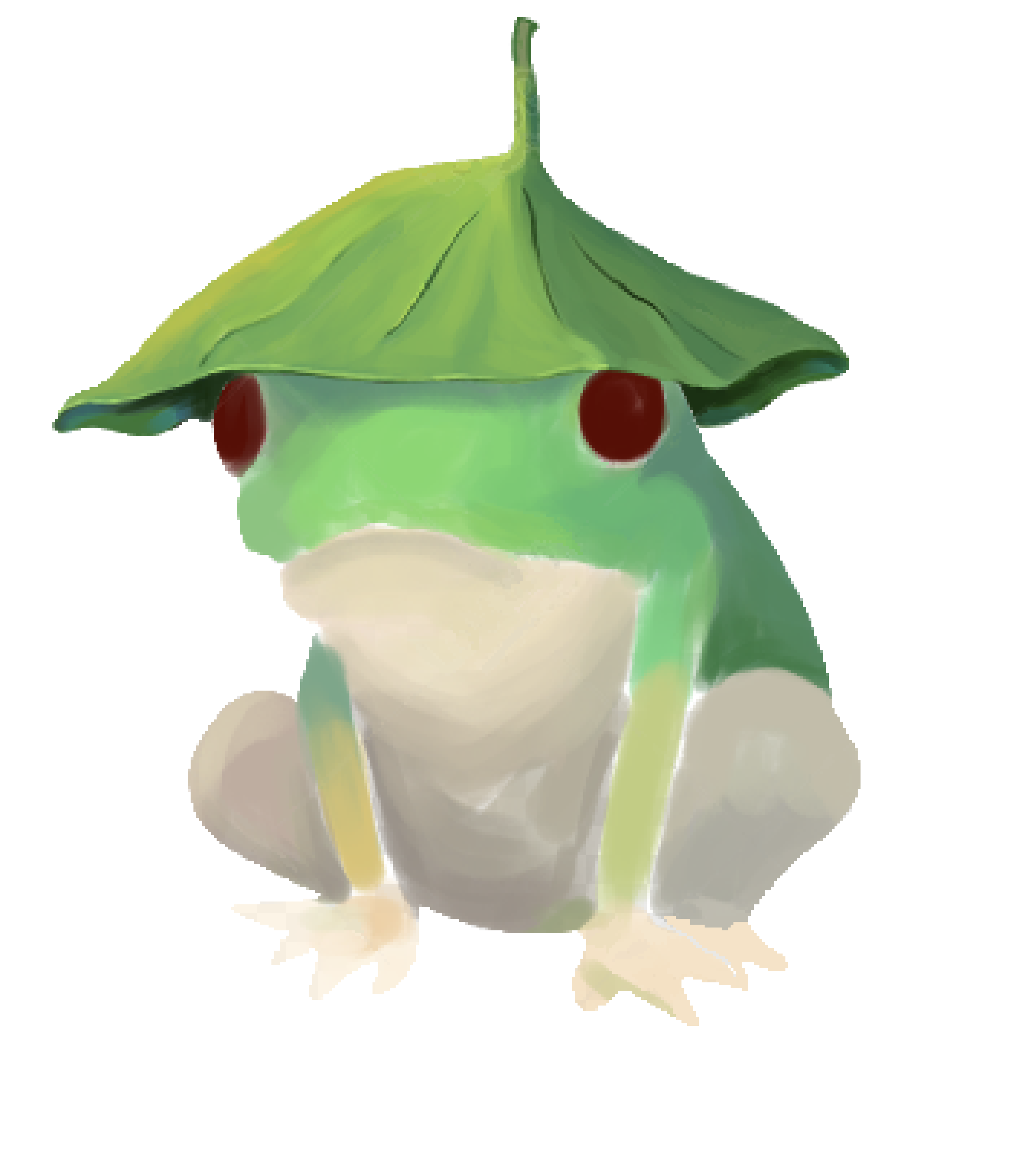 [623f0f] Frog with hat
