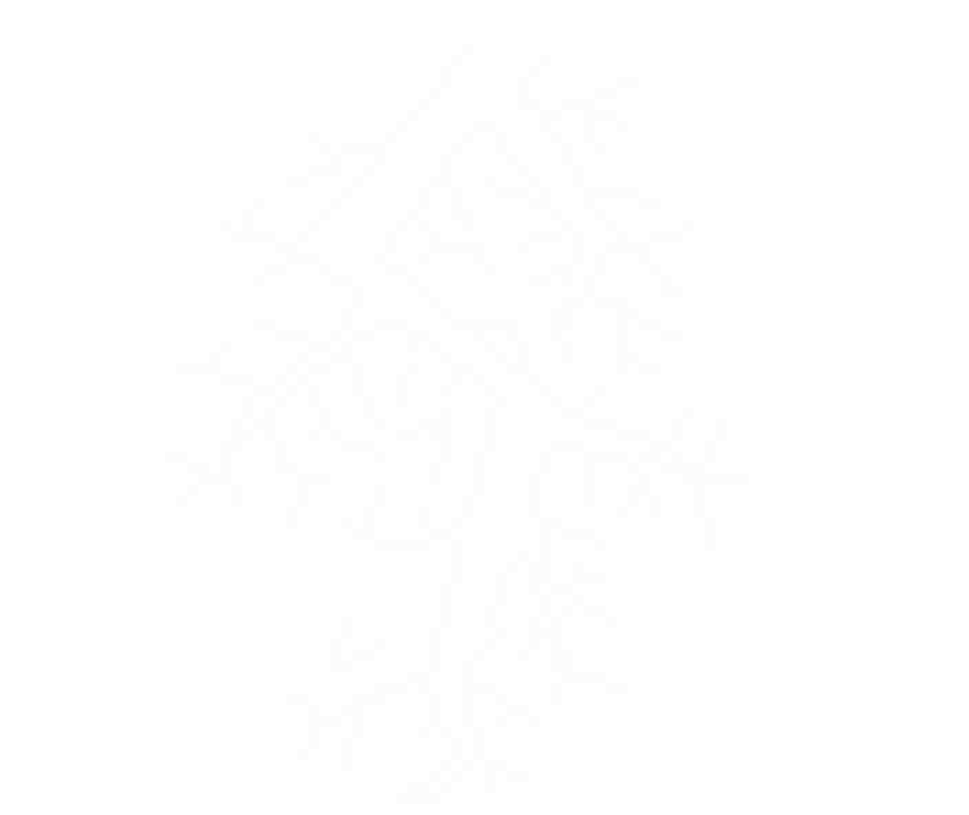 [9664c4] Thundoorr!