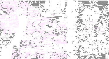 [284c2c] dither6