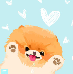 [dfdafc] Dog_37