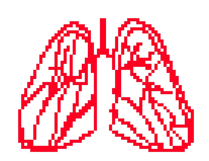 [570043] Lungs