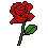 [a65bd5] rose