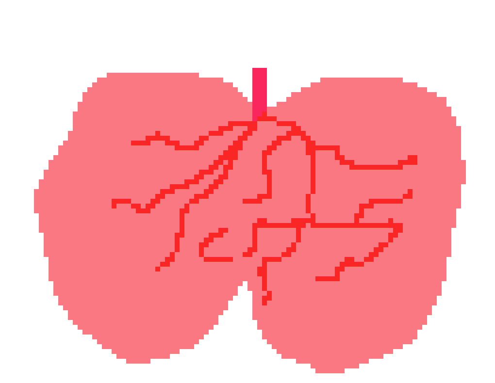 [401978] PIXEL LUNGS