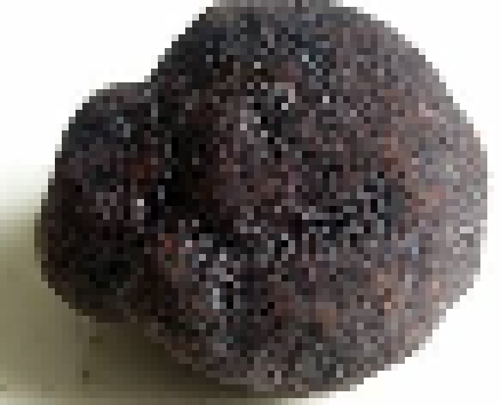 [f71a69] truffle