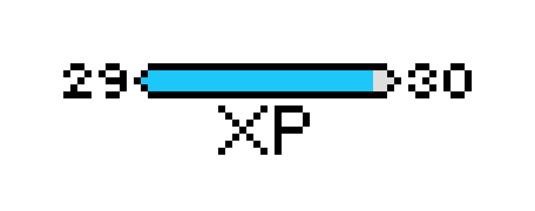 [343e37] XP Bar