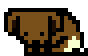 [fce987] puppy1